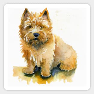 Norwich Terrier Watercolor - Dog Lover Gifts Magnet